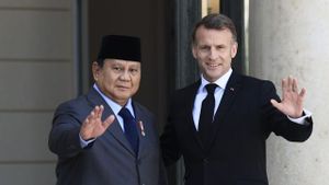 Prabowo Genjot Kerja Sama dengan Prancis, Fokus Pertahanan hingga Energi