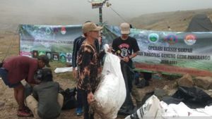 Tak Hanya Jejak, Pendaki Juga Tinggalkan Sampah Plastik 1 Ton Lebih di Jalur Pendakian Gunung Gede Pangrango