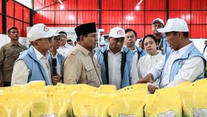    Di Hadapan Puan, Prabowo sebut PDIP-Gerindra Kakak Beradik