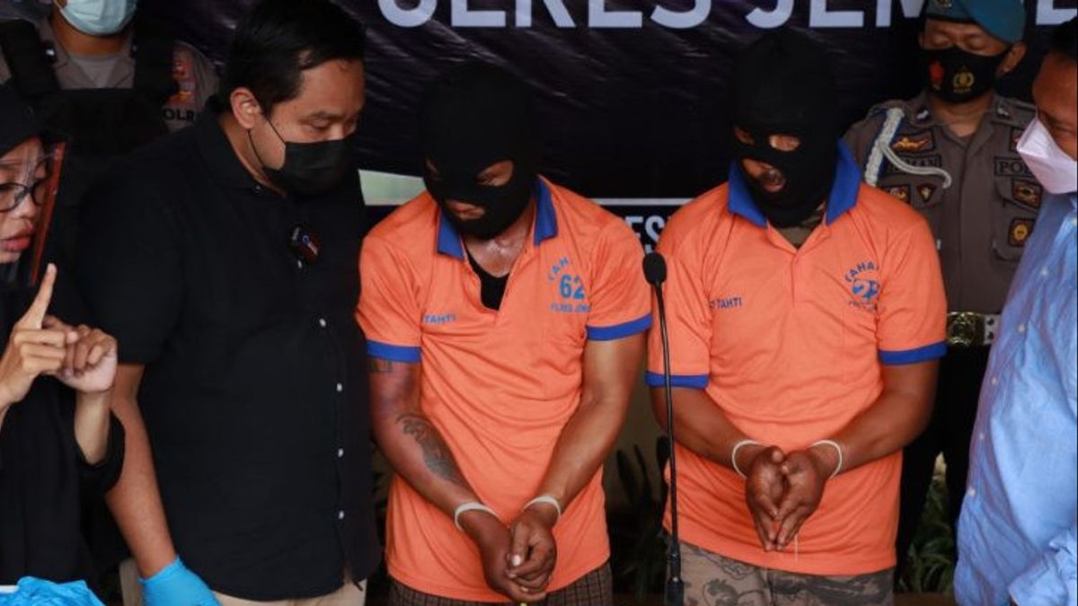 Komplotan Pencuri Ternak di Jember Ditangkap Polisi, 7 Ekor Sapi Curian Ikut Diamankan