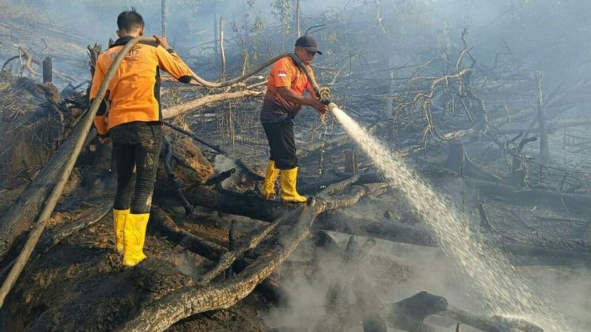 Dalam Sehari, 154 Titik Api Terpantau di Kaltim