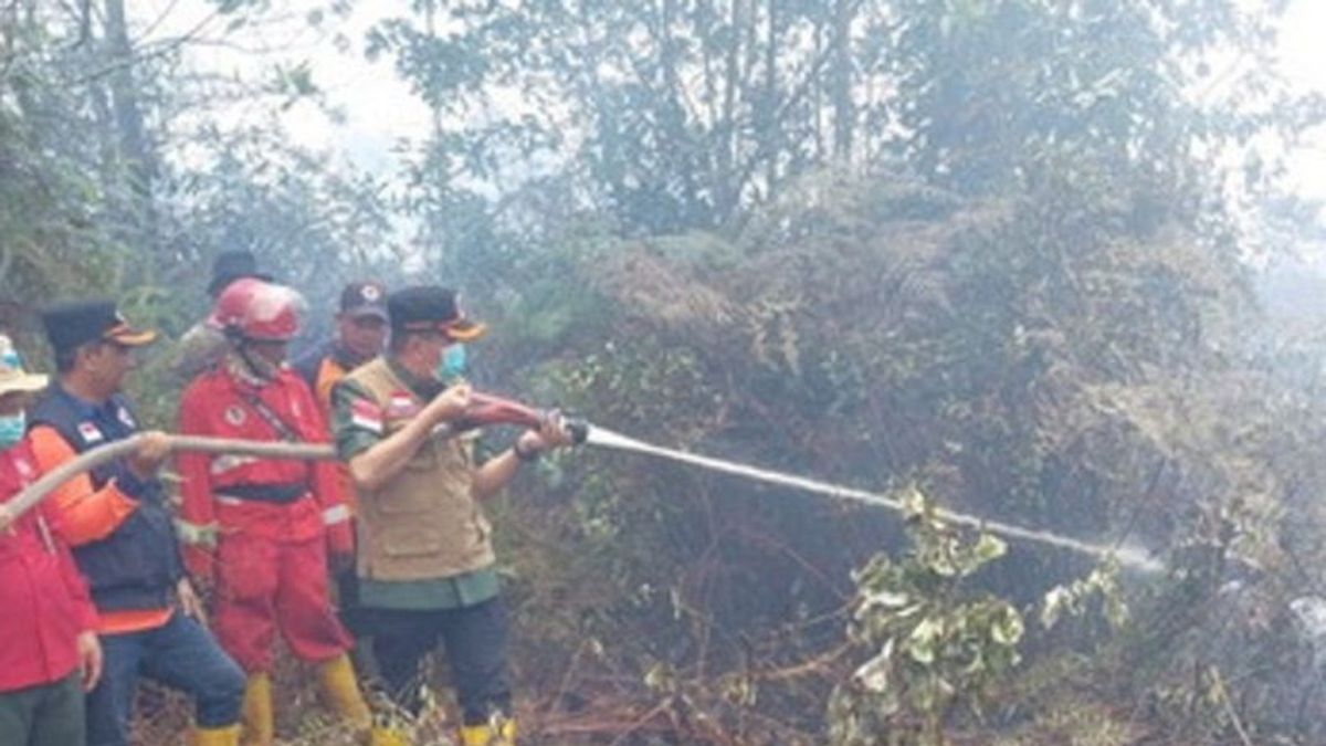 Gubernur Riau Syamsuar Ikut Berjibaku Padamkan Karhutla di Dumai