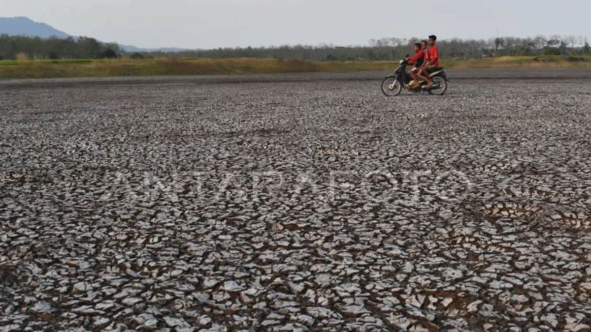 9 Kecamatan di Kabupaten Malang Rawan Kekeringan