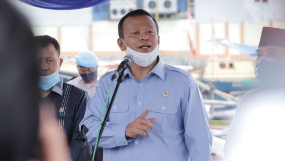 Susi Pudjiastuti提到龙虾种子出口商Edhy Prabowo：这不是秘密，可以检查