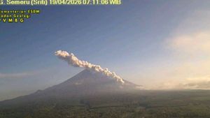 Erupsi Gunung Semeru Pagi Ini, Luncurkan Awan Panas hingga 4 Km