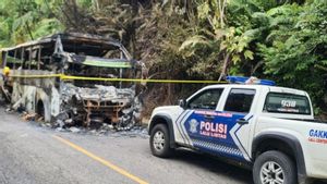 Diduga Arus Pendek, Bus Rute Medan-Jakarta Terbakar di Jalan Lintas Bukittinggi
