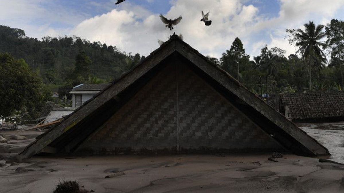 L’Agence Nationale De Gestion Des Catastrophes Prépare Un Fonds Résidentiel Pour Les Réfugiés En Cas De Catastrophe Du Mont Semeru