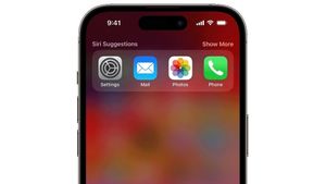 Tak Banyak Orang Tahu, Ini Kemampuan Tersembunyi dari Fitur Pencarian iPhone