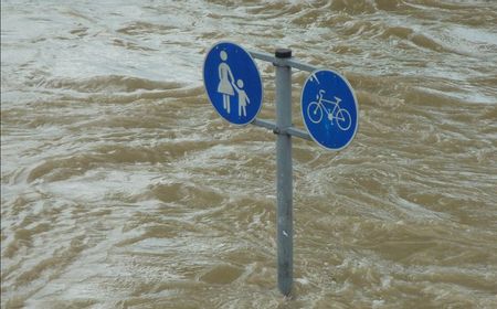 Banjir dan Longsor di Korea Selatan Tewaskan Puluhan Orang