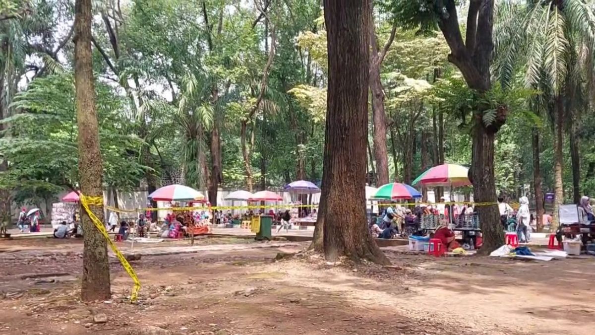 Visiteurs viraux du parc de Margasatwa Ragunan Pasar dimanche tombé dans des branches d’arbres