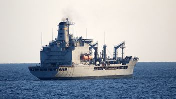 Japan Considers Sending SDF Troops to Sweep Mines in Strait of Hormuz