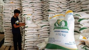 Mulai Dibagikan, Bantuan Pangan Beras Sasar 18,27 Juta Keluarga