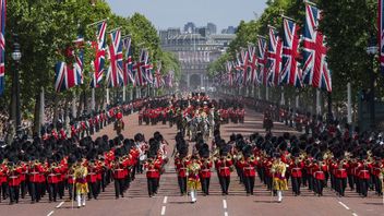 侵犯英国女王伊丽莎白二世白金周年阅兵式的安全：两人被英国警方逮捕，其中一人举着旗帜