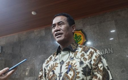 Mentan: Proyek Food Estate Harus Dilanjutkan