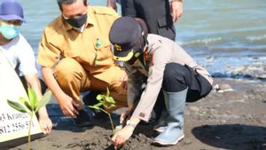 Berita Kulon Progo: Polres DKP Tanam 1.000 Pohon Bakau