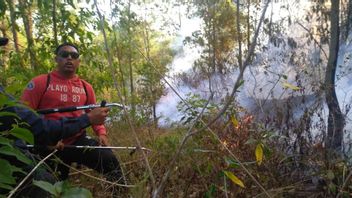 Kebakaran Lahan dan Semak Gunung Batur, Bangli Telah Berhasil Dipadamkan