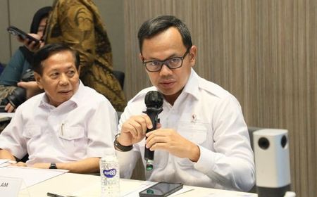 Wamendagri Sebut Desk Pilkada 2024 Catat 296 Aduan hingga November