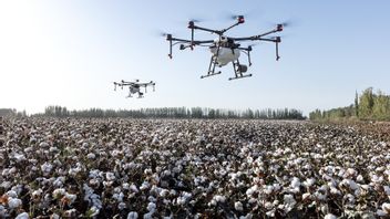 Chinese Drones In The Middle Of The Coronavirus