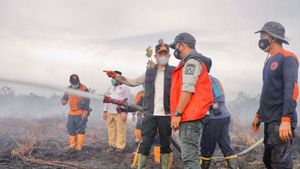Kebakaran Lahan di Aceh Barat Meluas hingga 57,7 Hektare