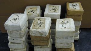 Selundupkan Kokain Senilai 152 Juta Dolar AS, Peraih 2 Medali Olimpiade Athena Terancam Hukuman Seumur Hidup