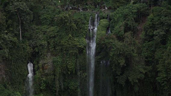 2020年に外国人観光客を訪れる価値のあるバリ島