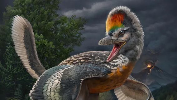 科学家们在中国发现了类似于大约1.5亿年前鸟的恐龙化石