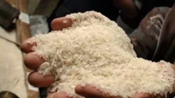 UGMの専門家がプラスチック米のデマ流通のニュースを確認する