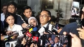 总统敦促加快100吉瓦的太阳能发电，柴油发电厂今年将削减10吉瓦