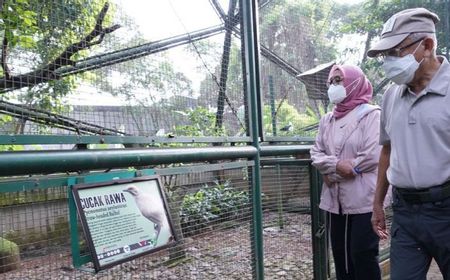 Wapres Ma’ruf Amin dan Istri Isi Akhir Pekan dengan Berolahraga di TMII