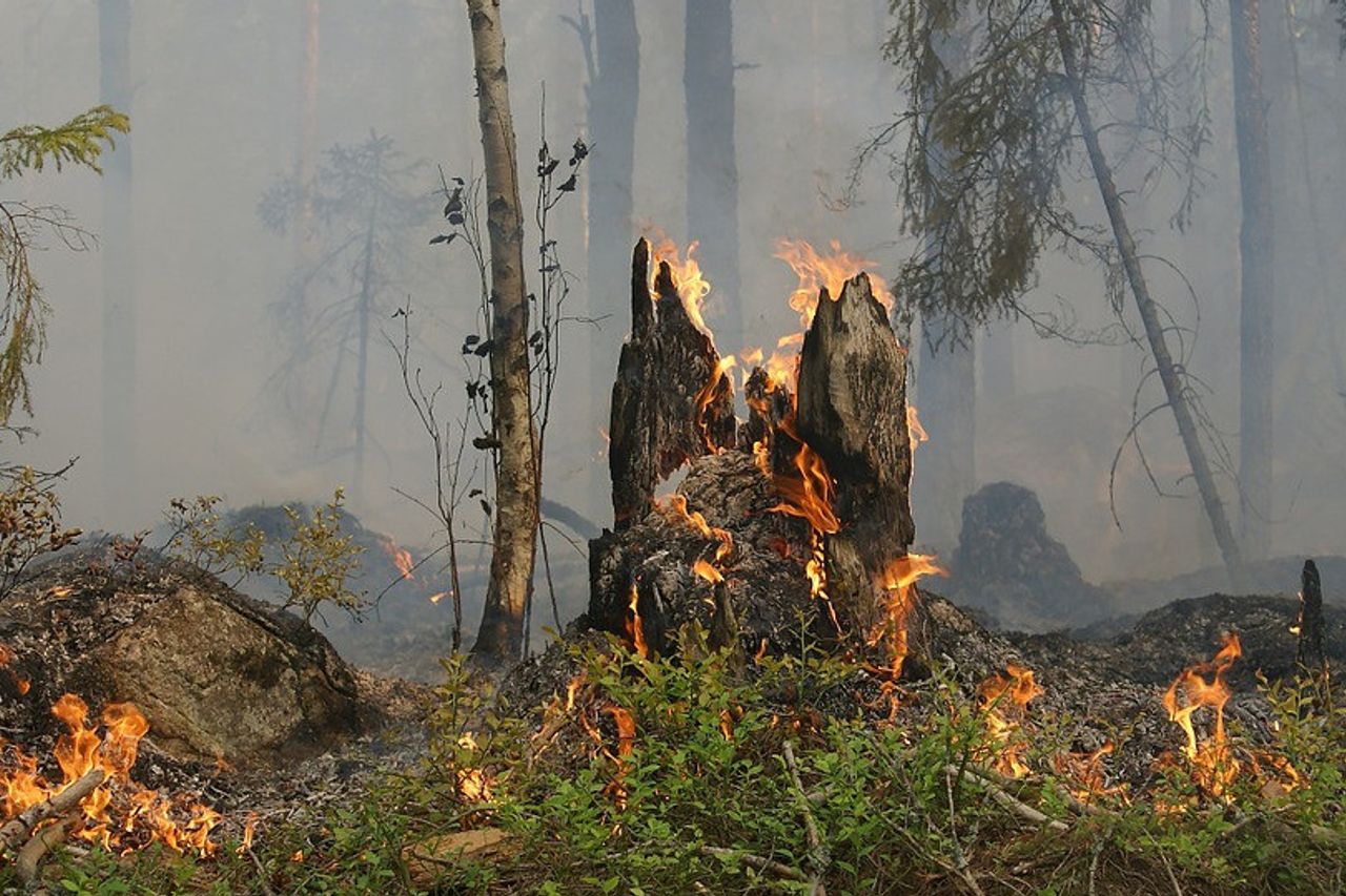 Millions Of US Dollars For Australian Fire Donations Raised On Facebook