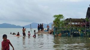 Warga Pesisir Kepri Diimbau Waspada Cuaca Ekstrem! BPBD Ingatkan Potensi Banjir Rob