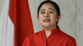 Kian Jauh, Elektabilitas Ganjar Pranowo Ungguli Puan Maharani dalam Survei Terbaru, Ternyata Prabowo Subianto di Posisi Lebih Tinggi   