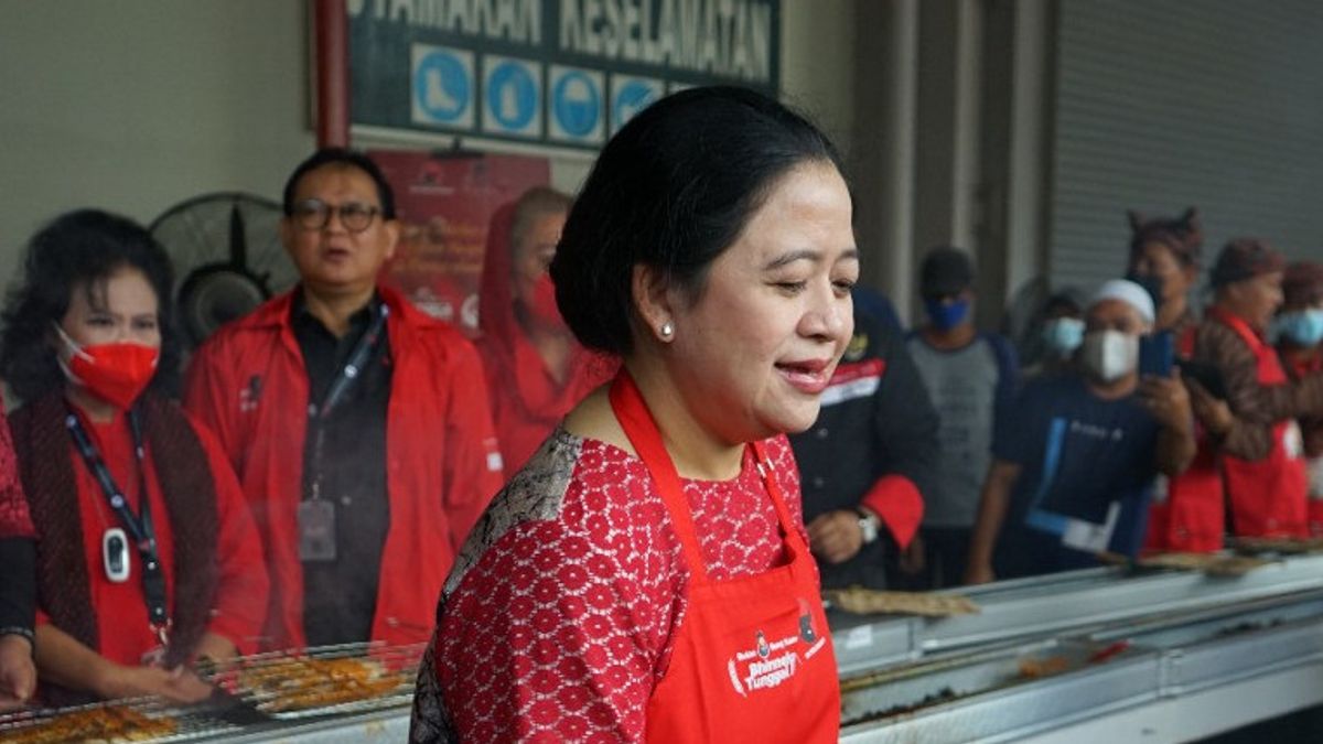 Diperintah Megawati, Puan Atur Waktu Temui Ketum Parpol Hadapi Pemilu 2024, Termasuk Demokrat?