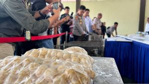 Polda Kepri Gagalkan Penyelundupan Ribuan Telur Penyu ke Singapura