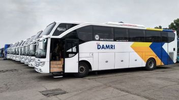 Damri Collaborates With East Java Provincial Government To Provide Trans East Java Bus Route Sidoarjo-Surabaya-Gresik