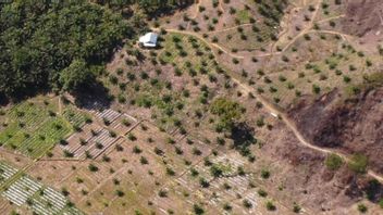 Le ministère de la Défense révèle pourquoi la société Sawit RI n’ose pas produire de biodiesel