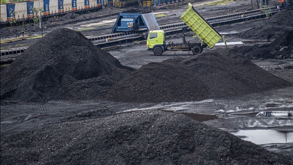 Coal Is Still Supporting The Provision Of National Energy