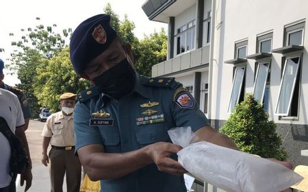 466 Ribu Benih Lobster Tangkapan TNI AL Dilepaskan di Perairan Kepri