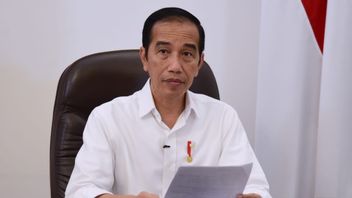 Écho Haïssant Les Produits étrangers, Indef: Jokowi Doit être Précis, Quelles Importations?