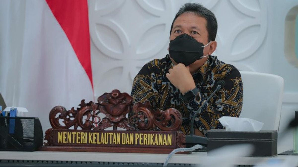 Sakti Wahyu Targets The Development Of 55 Fish Cultivation Industries In Integrated Ports