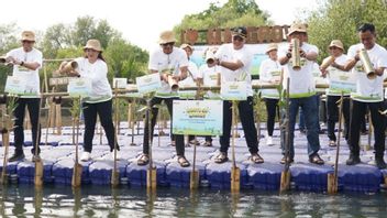 In The Context Of Planting Indonesian Tree Day, PLN Plants 5,000 Mangroves In Angke Kapuk