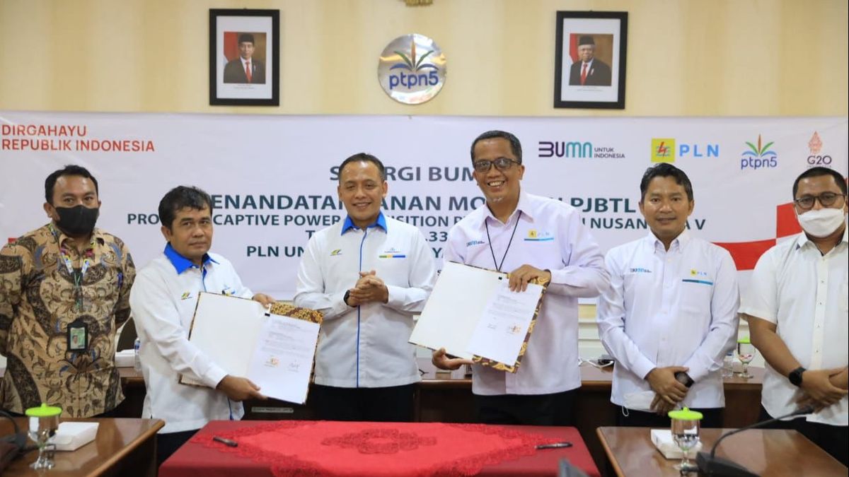 PLN Pasok Listrik 9,3 MW untuk Operasional 2 Pabrik Kelapa Sawit PTPN V