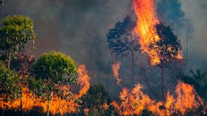 Konvoi 19 Truk Angkut Bantuan Warga Kelaparan di Sudan Diserang, 3 Dibakar