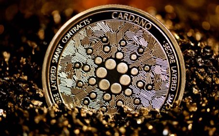 Cardano Jadi Kripto Paling Menguntungkan dalam 24 Jam Terakhir