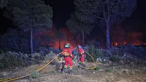Spanyol Berjibaku Atasi 14 Kebakaran Hutan yang Hanguskan Area Seluas London