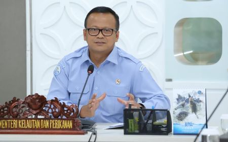 Buka Keran Ekspor Benih Lobster, Edhy Prabowo Klaim Tidak Akan Bikin Punah