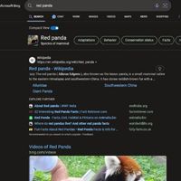 Microsoft Resmi Luncurkan Mode Gelap untuk Bing Search dan Chat, Ini Cara Mengaktifkannya!