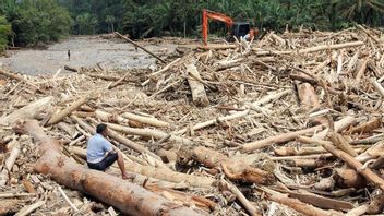Kemenhut poursuit le nettoyage des débris de bois inondés en Aceh et au Nord Sumatra