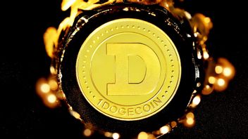 Dogecoin Meme Coin Creator, Billy Markus Says DOGE Code Writer Is A Bitcoin Developer