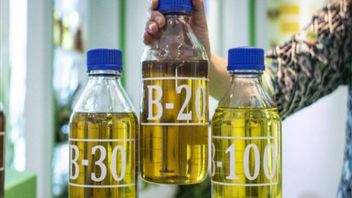 2025年8月のバイオディーゼル価格は1リットルあたり13,527ルピアに上昇